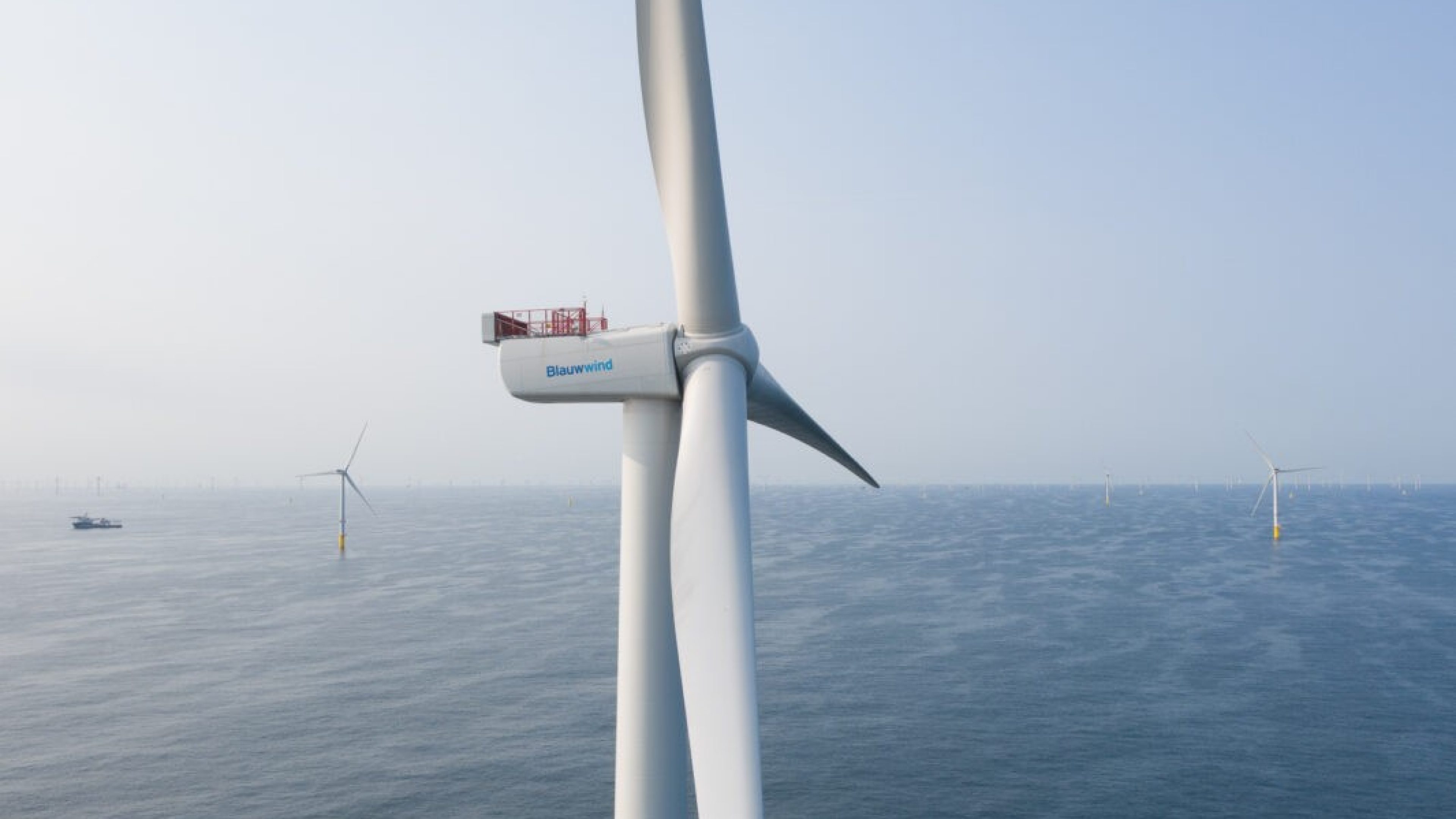 Parco eolico offshore circondato dal mare